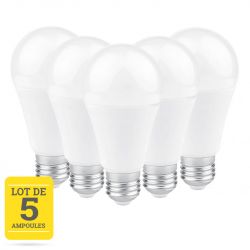 Lot de 5 ampoules LED E27 12W blanc chaud